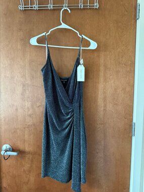 Max + Ash Sparkly Mini Dress NWT L